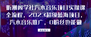 听潮阁学社汽水音乐项目实操课全流程,2023超级蓝海项目,汽水音乐推广,0粉丝也能做!网赚项目-副业赚钱-互联网创业-资源整合行知网